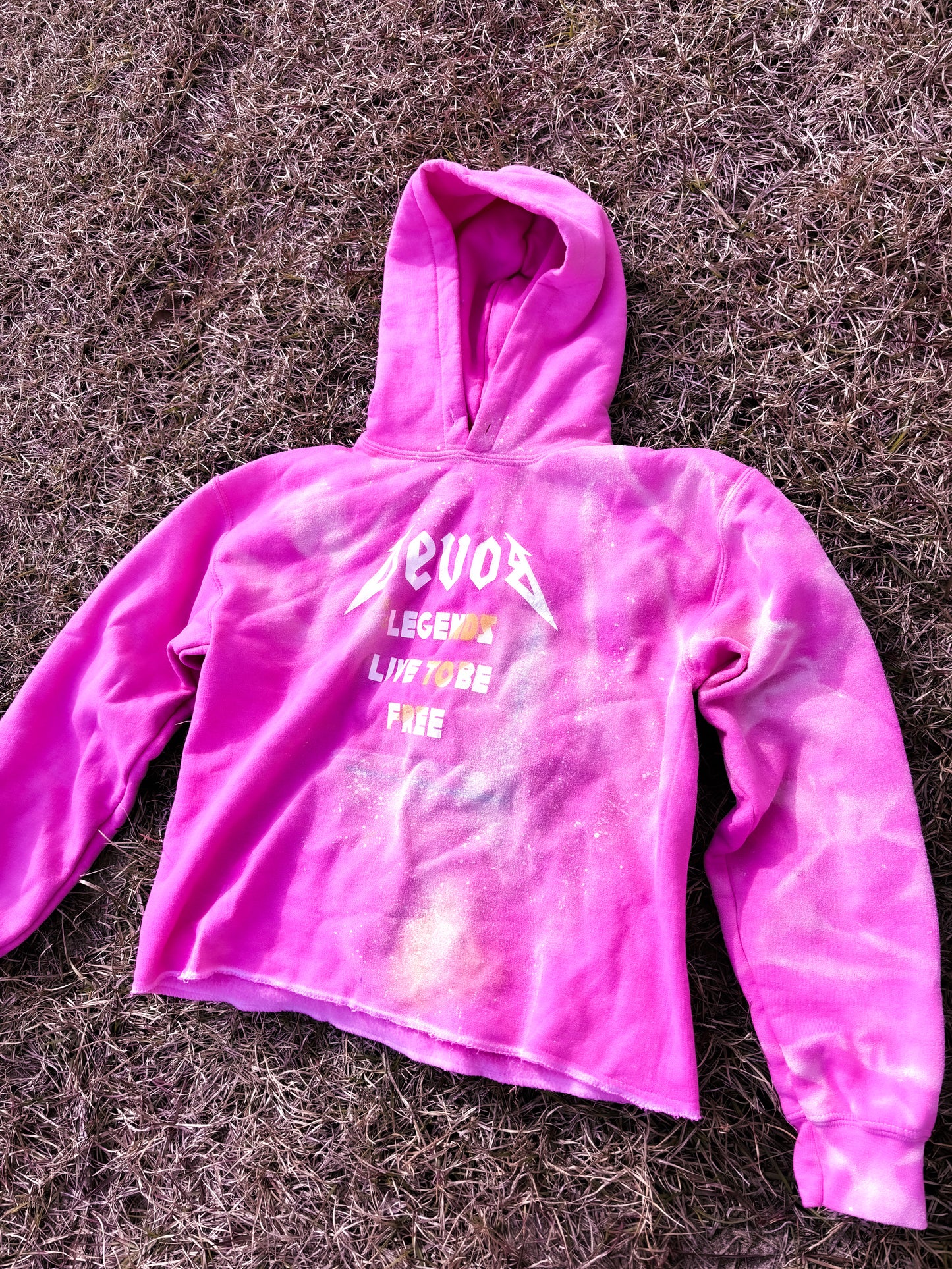 Legend Live 2B Free P-I-N-K Hoodie
