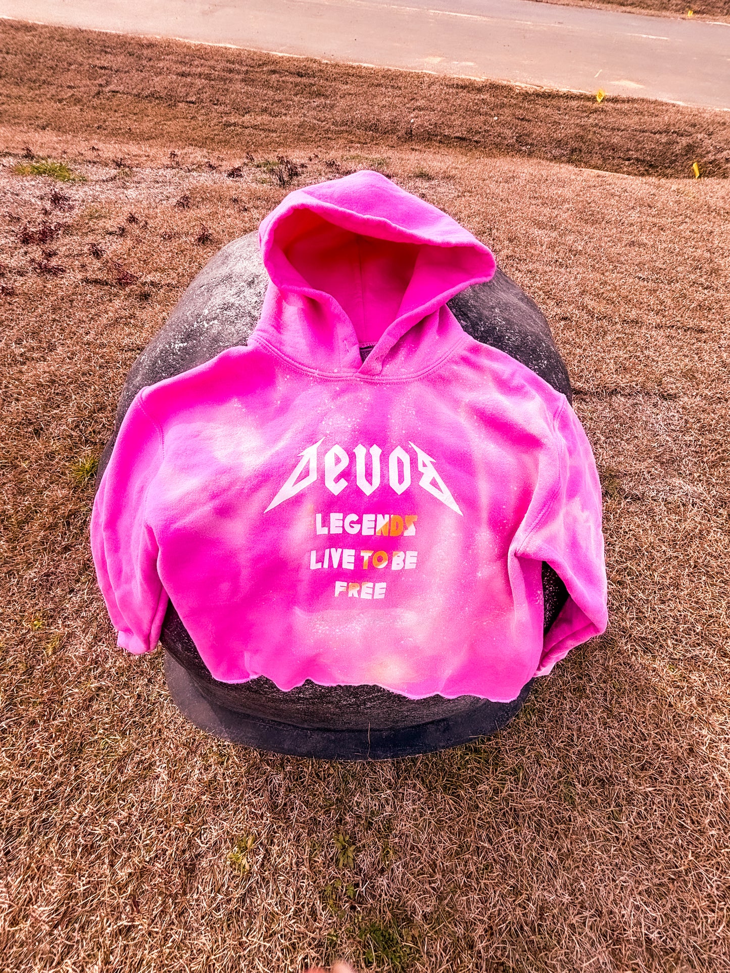 Legend Live 2B Free P-I-N-K Hoodie